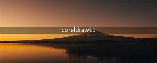 coreldrawx8能打开coreLdraw11吗(coreldraw11)